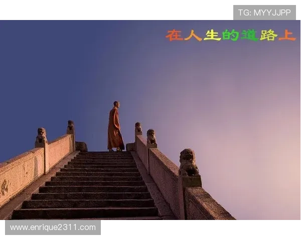 Z6人生就是博:在游戏中找到人生的方向与目标实现自我超越 Z6人生就是博:在游戏中找到人生的方向与目标实现自我超越